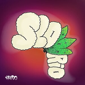 Slowrio