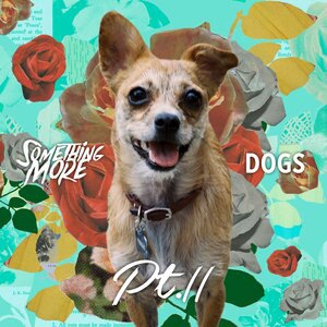 All My Best Friends Are Dogs