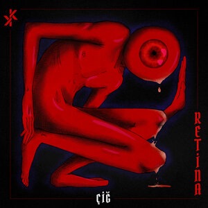 Retina