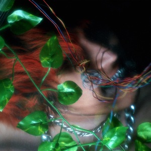 Worms (In the Futility of the Senses)