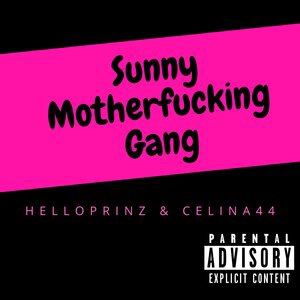 Sunny Motherfucking Gang