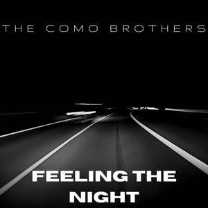 Feeling the Night