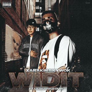 Widit