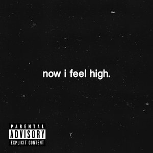 Now I Feel High