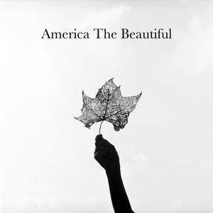 America The Beautiful