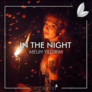 In The Night