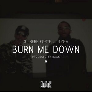 Burn Me Down