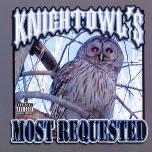 Here Comes The Knightowl
