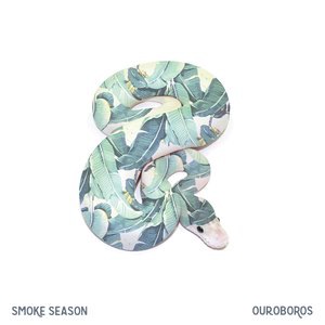 When the Smoke Clears
