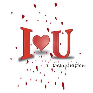 Je t'aime moi non plus