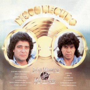 Se Eu Não Puder Te Esquecer