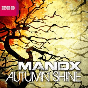 Autumn Shine