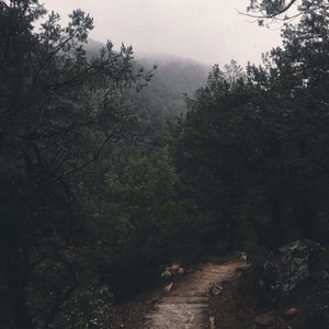 No Turning Back