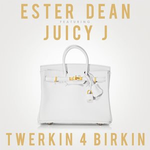 Twerkin 4 Birkin