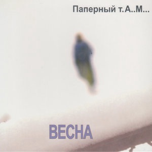 Ромашки
