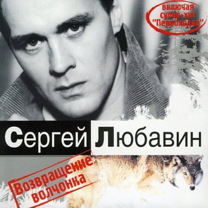 Любовь Моя (Благодарю тебя)