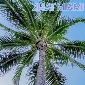 Miami