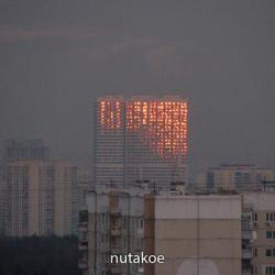 Курт кобейн