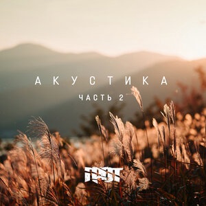 По пути домой