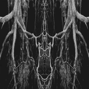 Reveal