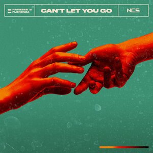 Can't Let You Go