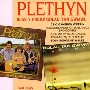Tan Yn Llyn