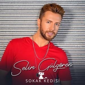 Sokak Kedisi