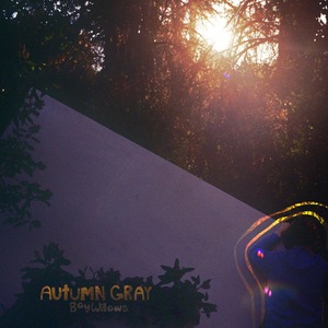 Autumn Gray