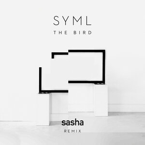 The Bird Sasha Remix