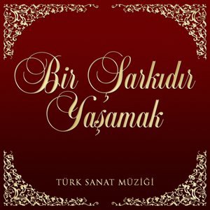 Benzemez Kimse Sana Tavrına Hayran Olayım