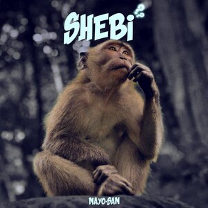 Shebi