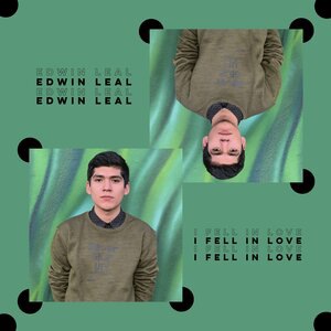 I Fell in Love