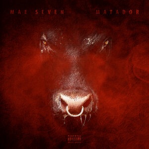 Matador