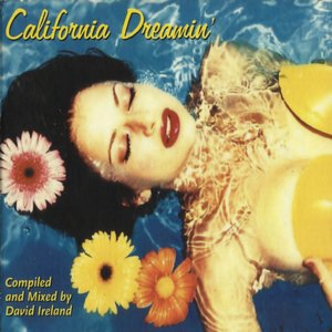 I Talk to the Wind