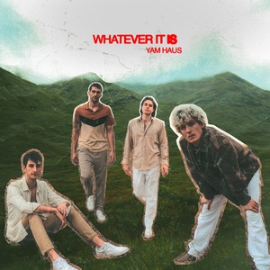 WHATEVER IT IS