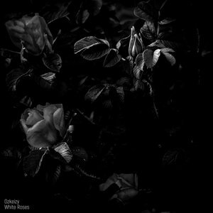 White Roses