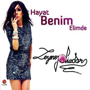 Bir Çocuk Sevdim