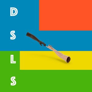 DSLS