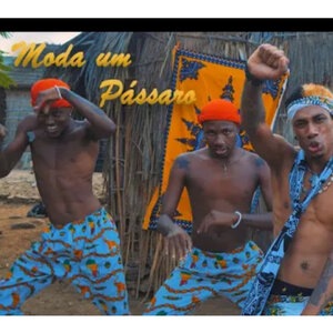Moda um Passaro