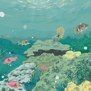 Un Piscis En Un Acuario