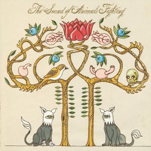 Act I: Chasing Suns