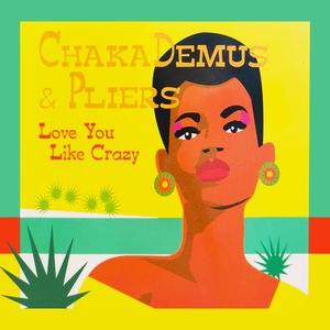 Love You Like Crazy