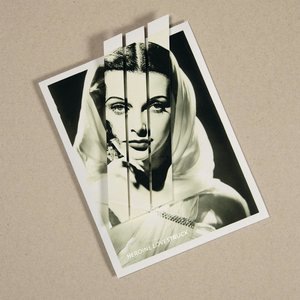 Sally the Shape