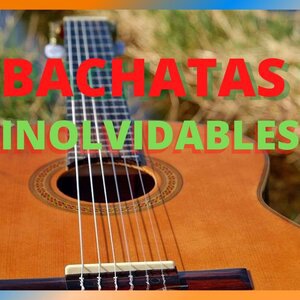 Intentalo Tu