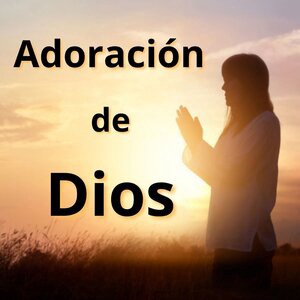Mi Proveedor