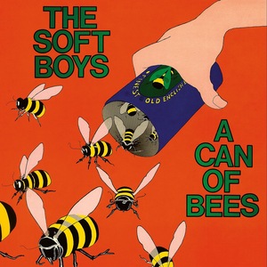 Give It to the Soft Boys