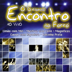 Meu Vaqueiro Meu Peão