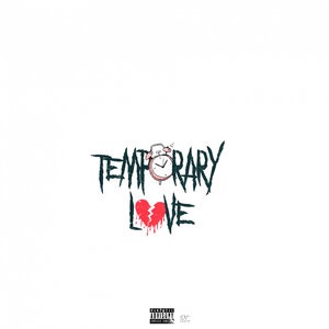 Temporary Love