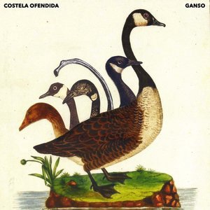 Pistoleira