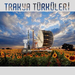 Fikrimin İnce Gülü